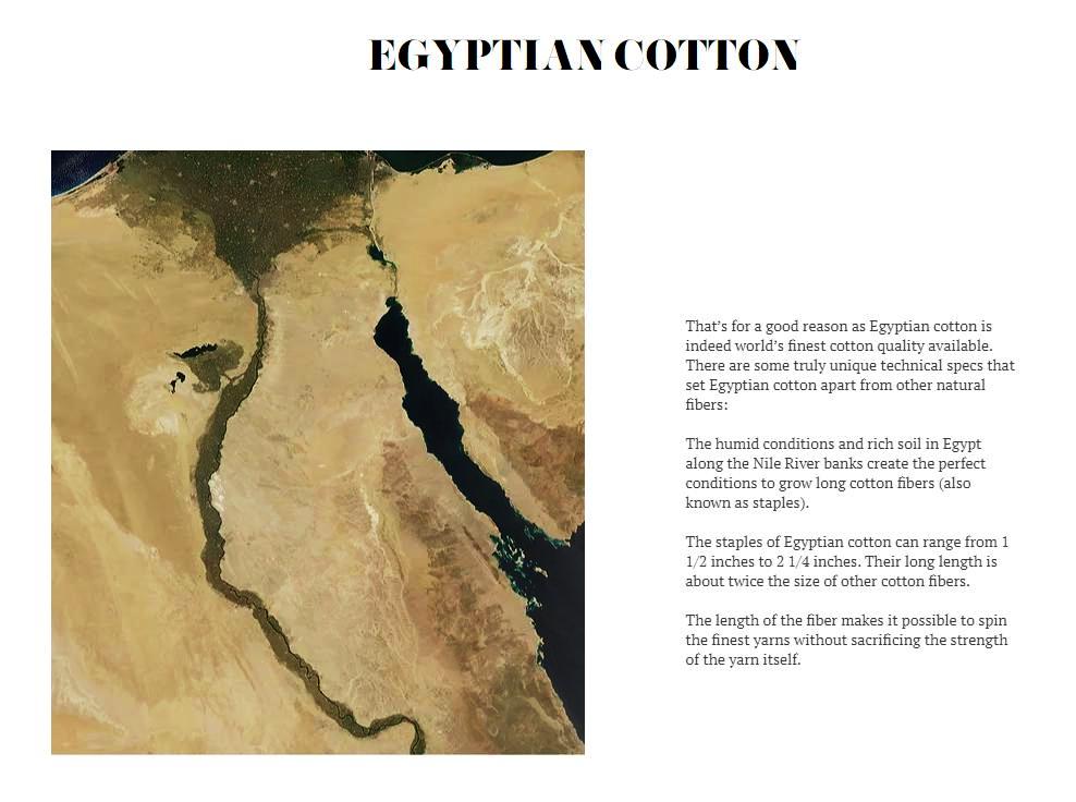 Rarity Of Egyptian Cotton